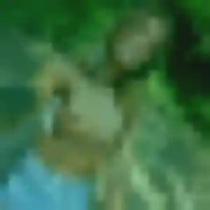Lucienne, 36 ans, connectée à Valognes pour un rencontre sexy