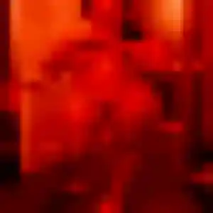 Sexy Clarisse, 22 ans à Villefranche-de-Rouergue - voir sa photo