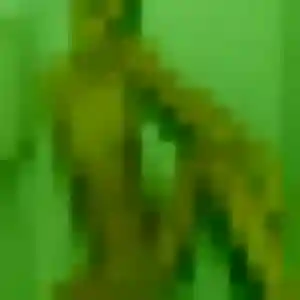 Amel, 20 ans, cherche un rencontre sexy à Villemoisson-sur-Orge