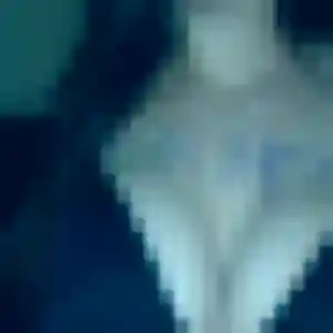 Pauline, 21 ans, cherche un rencontre sexy à Yerres